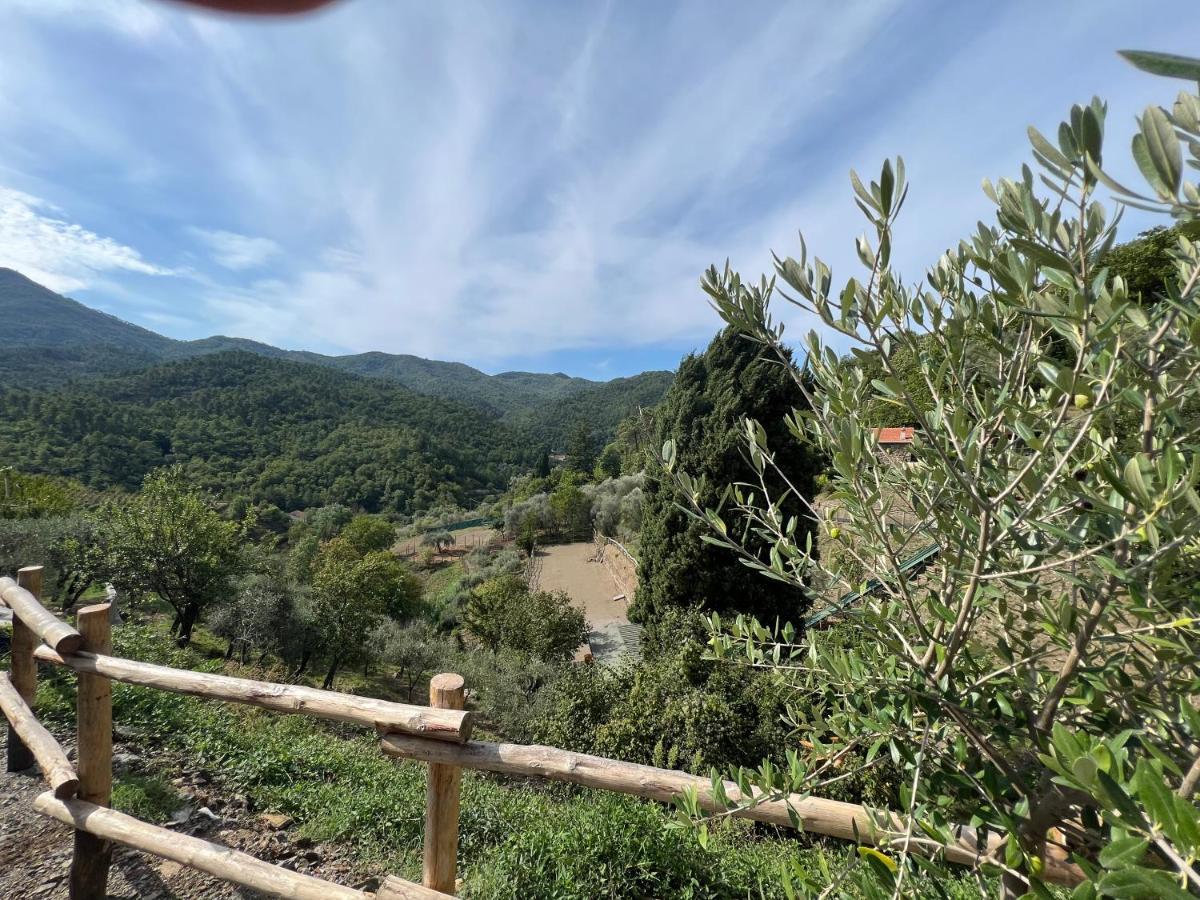 Agriturismo Torsivi Castiglione Chiavarese Εξωτερικό φωτογραφία