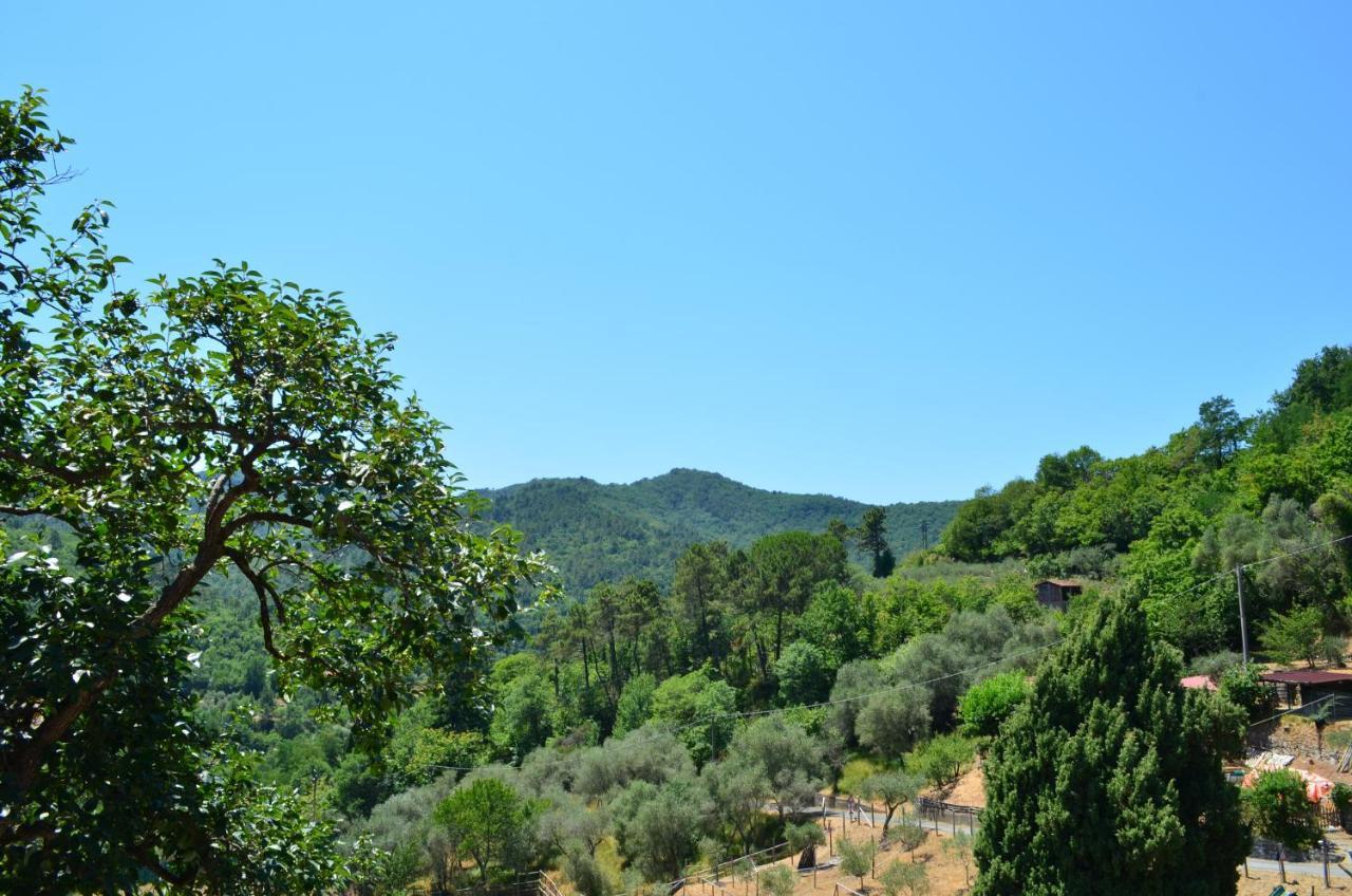 Agriturismo Torsivi Castiglione Chiavarese Εξωτερικό φωτογραφία